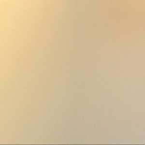 Meet your Posher, Sav